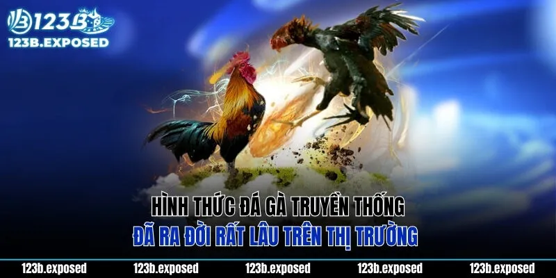 Hình thức đá gà truyền thống đã ra đời rất lâu trên thị trường