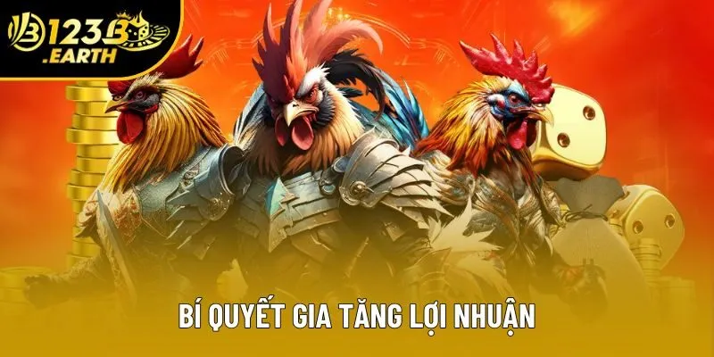 Bí quyết gia tăng lợi nhuận
