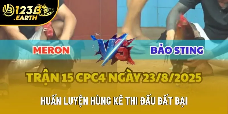 Tài năng huấn luyện hùng kê đỉnh cao Tài năng huấn luyện hùng kê đỉnh cao