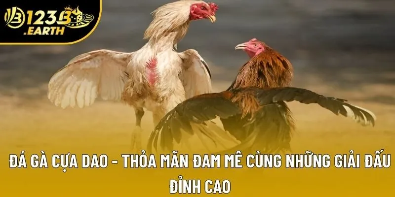 Đá Gà Cựa Dao - Theo Dõi Những Trận Đấu Chuyên Nghiệp Kịch Tính