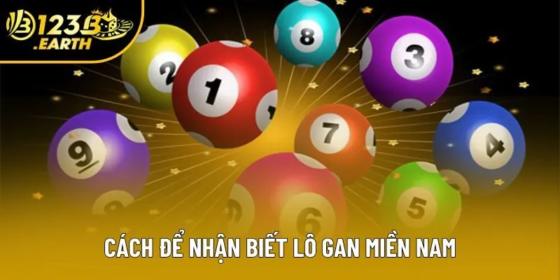 Cách để nhận biết lô gan miền Nam