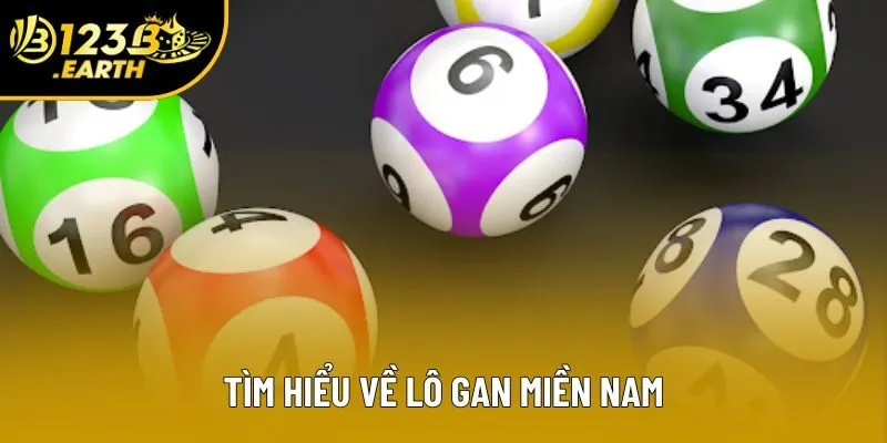 Tìm hiểu về lô gan miền Nam