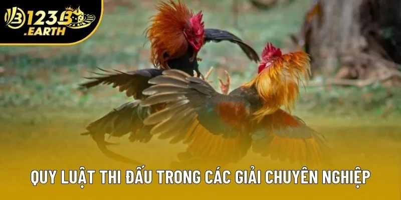 Quy luật thi đấu trong các giải chuyên nghiệp